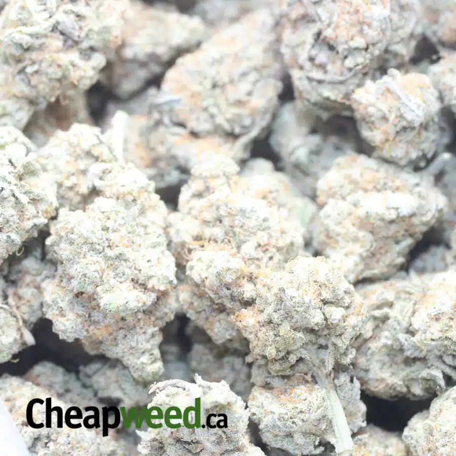 LUCKY CHARMS 1 I $ 60 Oz - Lucky Charms
