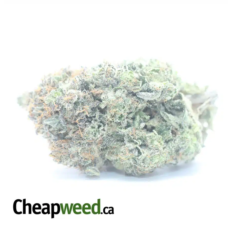 Platinum Pink Kush