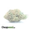 Rock bud