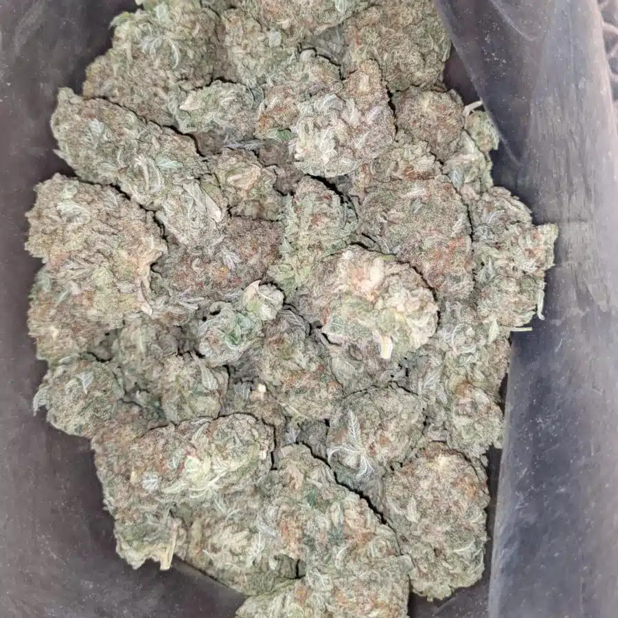Snow cap 2 I Snowcap