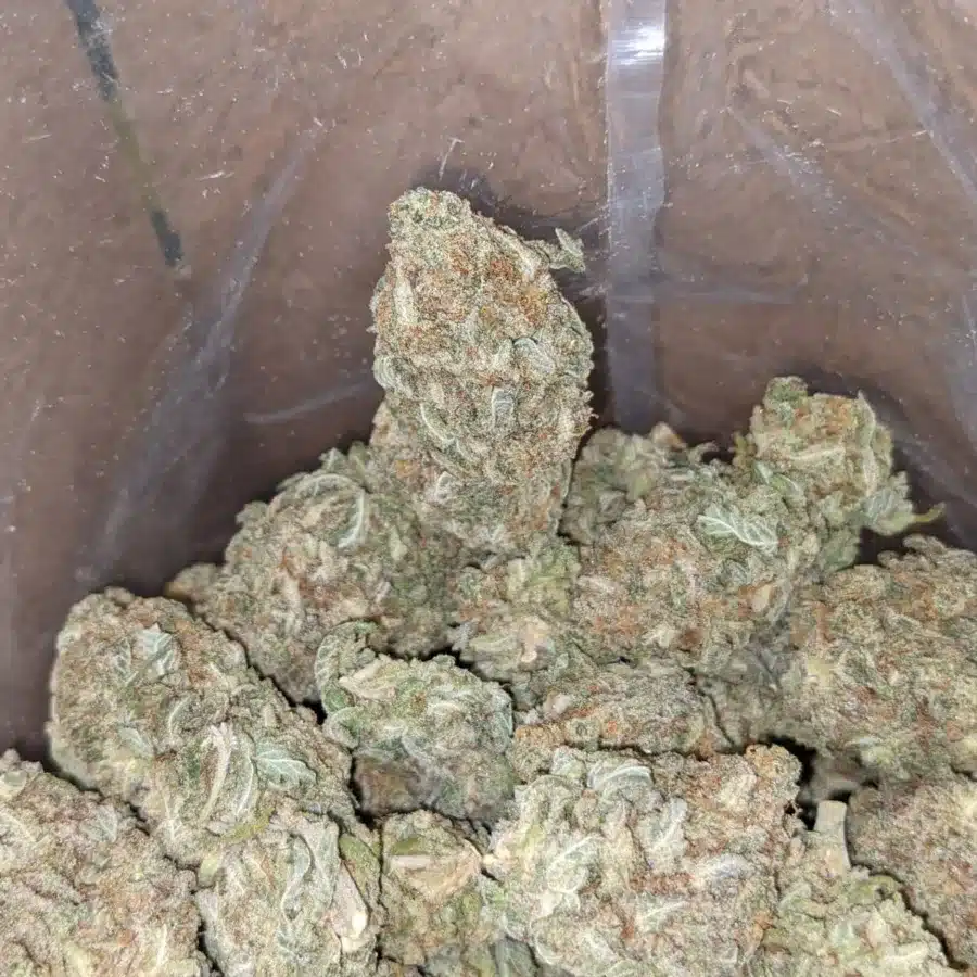 Snow cap 4 I Snowcap