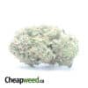 Tony's Rockstar Kush
