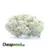 Tony's Rockstar Kush