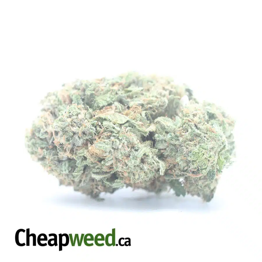 Tony's Rockstar Kush