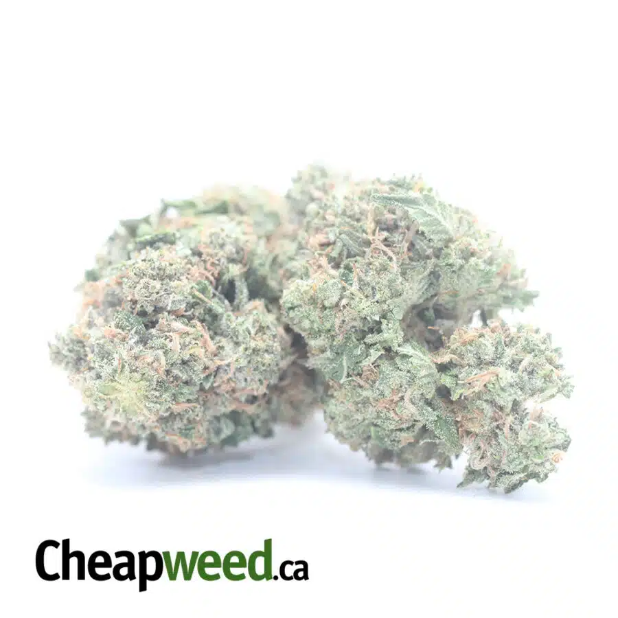 Alternative view of Tony's Rockstar Kush