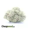 $ 50 Oz - Tropical Runtz