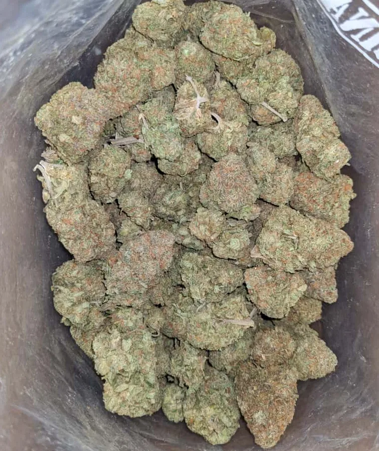White rhino x Nukem 3 I Nuken X White Rhino