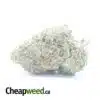 $ 47 Oz - 24k Gold
