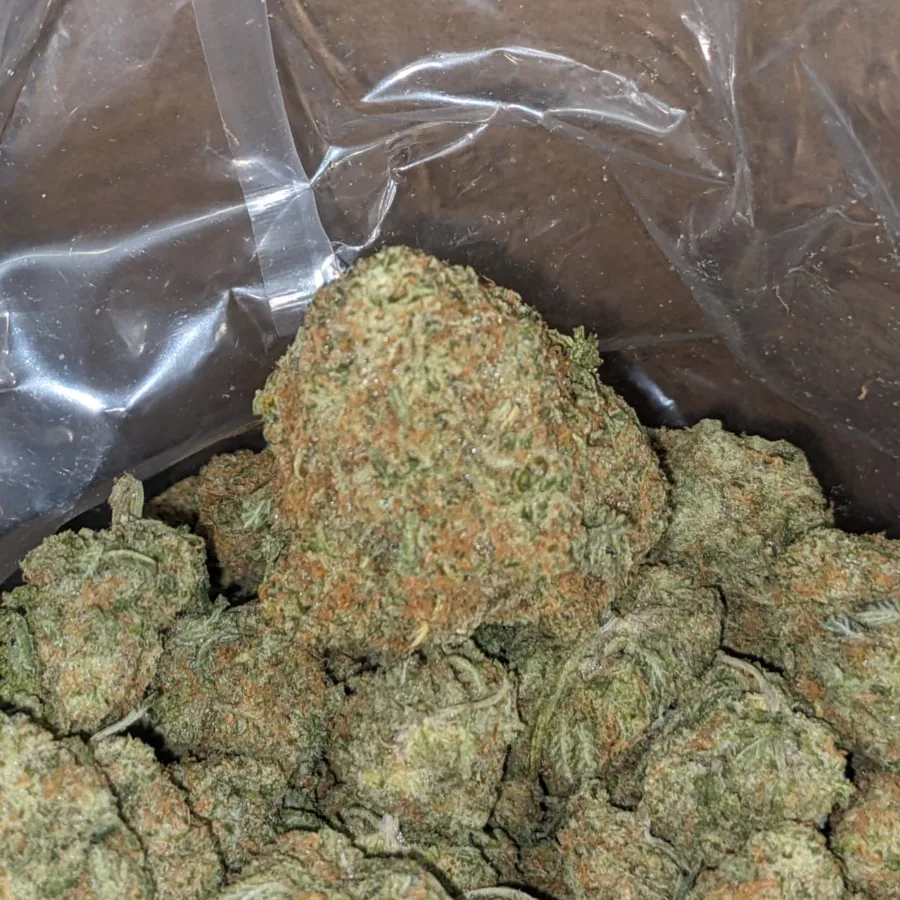 40 Oz Girl Scout Cookies 1 I $40oz Girl Scout Cookies