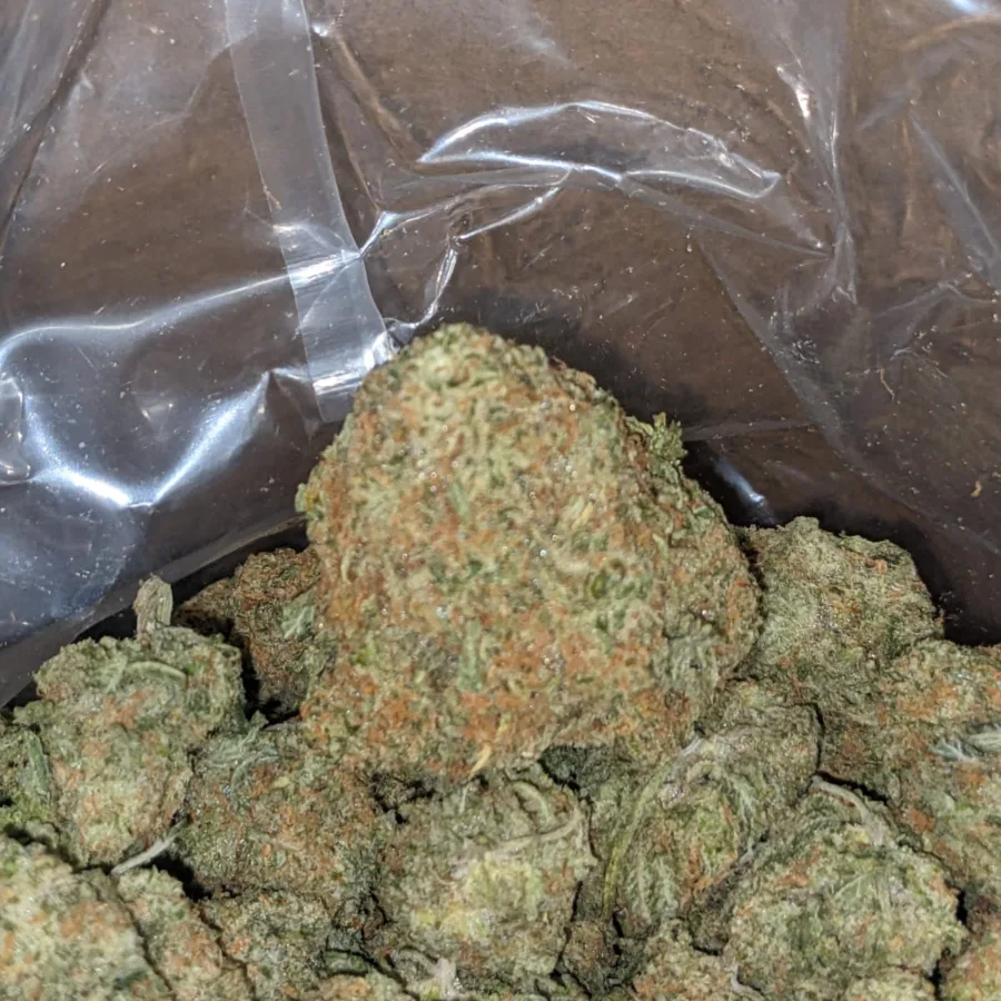 40 Oz Girl Scout Cookies 4 I $40oz Girl Scout Cookies