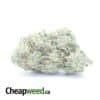 $ 52 Oz - Boston Cream