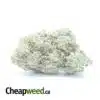 $ 52 Oz - Boston Cream