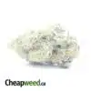 $ 50 Oz - Champagne