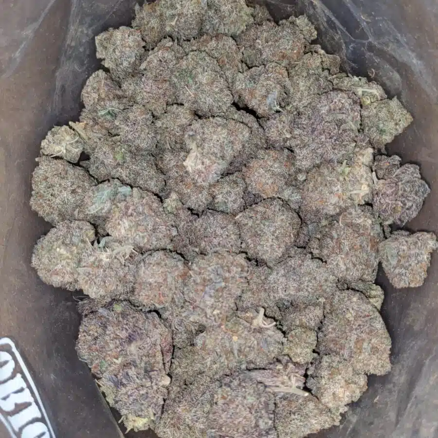 Alternative view of Durban Poison