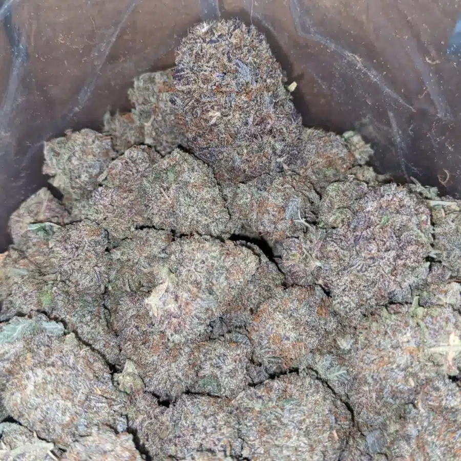 DURBAN POISON 3 I Durban Poison