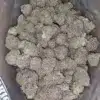 Durban Poison