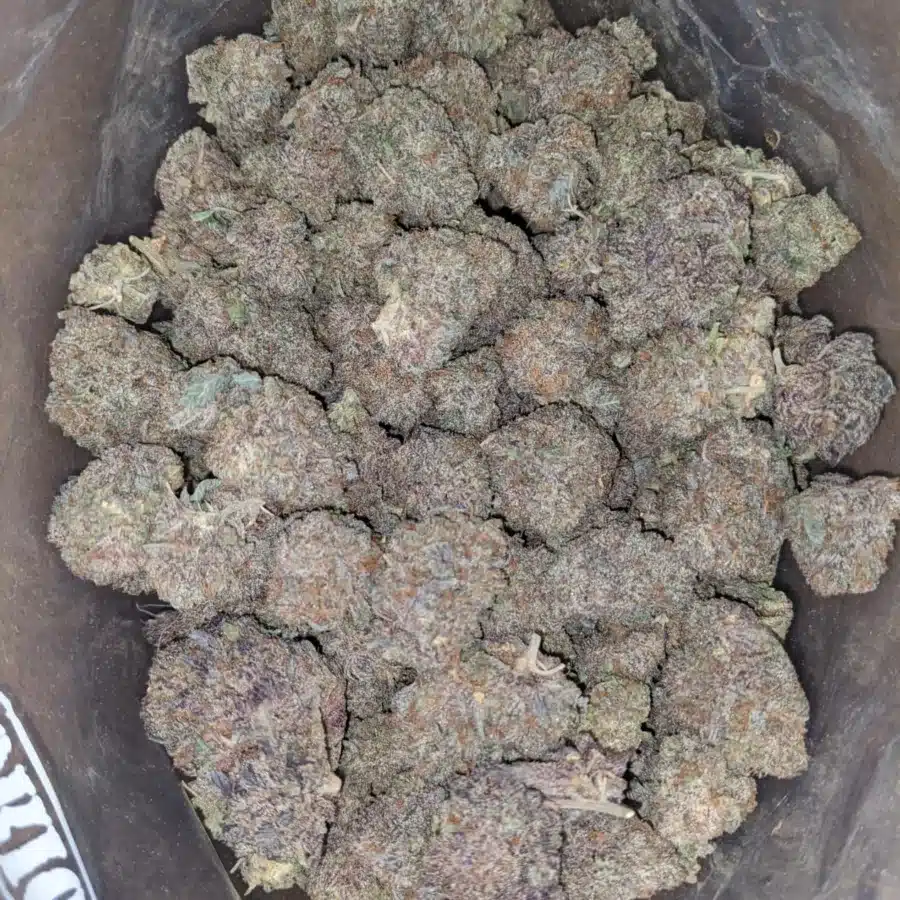 Durban Poison
