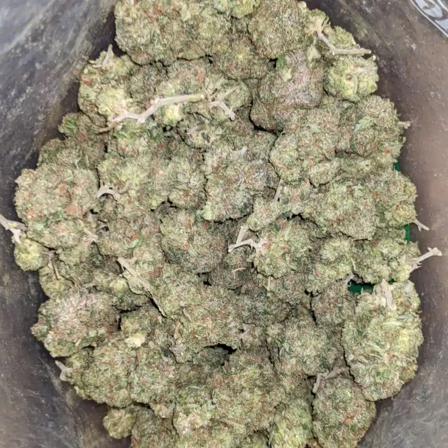 Green Farm Death Bubba 1 1 I Greenfarm's Death Bubba