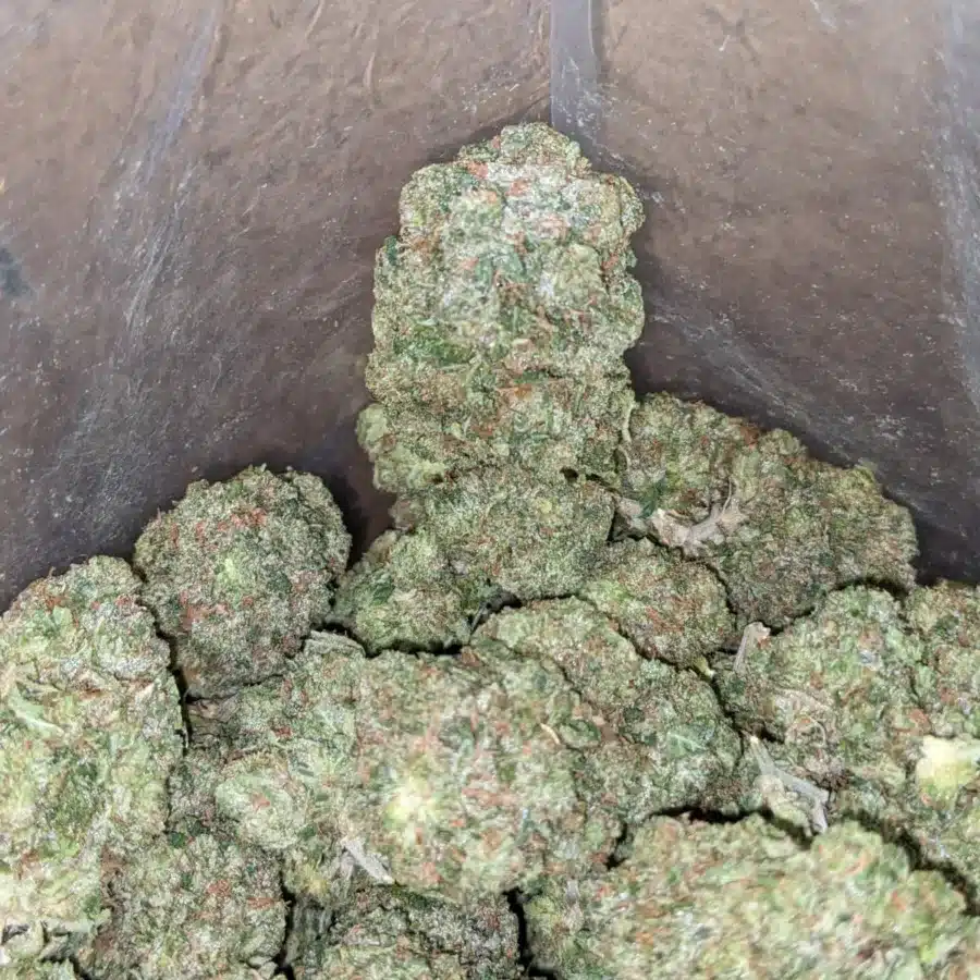 Green Farm Death Bubba 2 I Greenfarm's Death Bubba