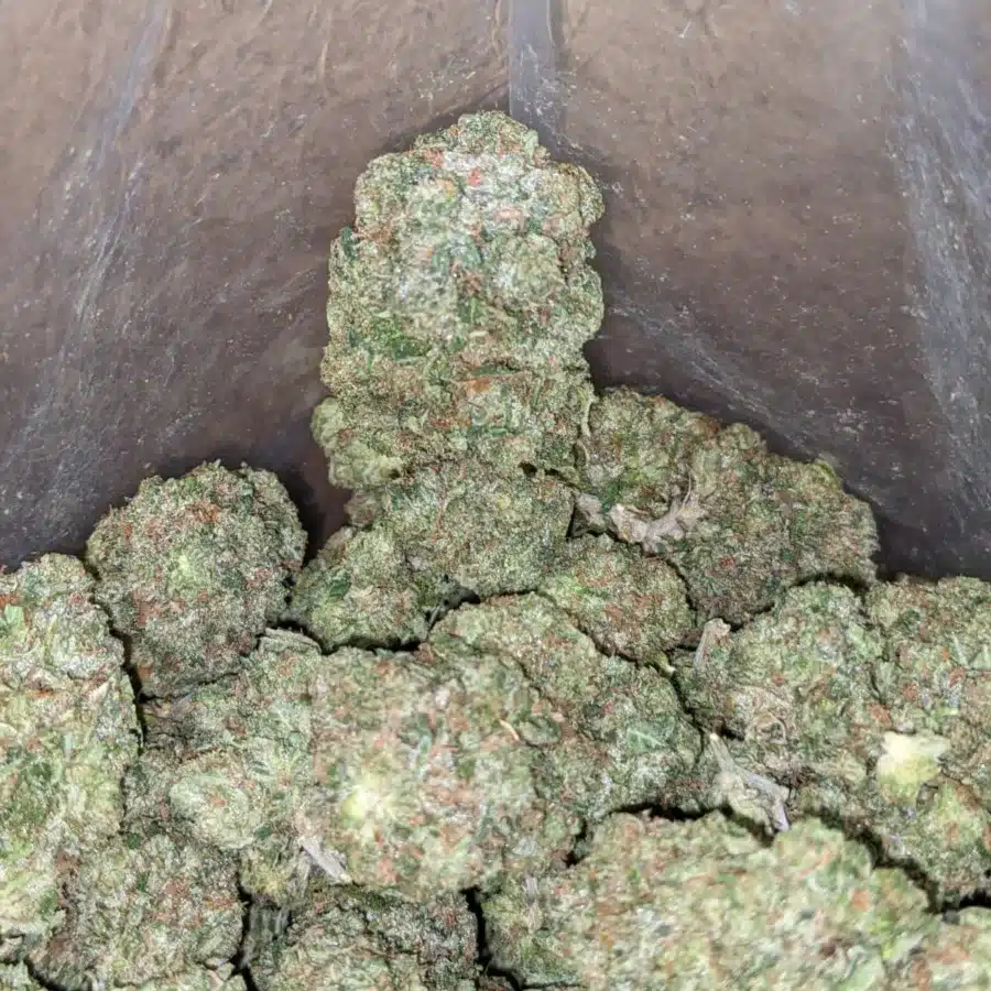 Green Farm Death Bubba 3 I Greenfarm's Death Bubba