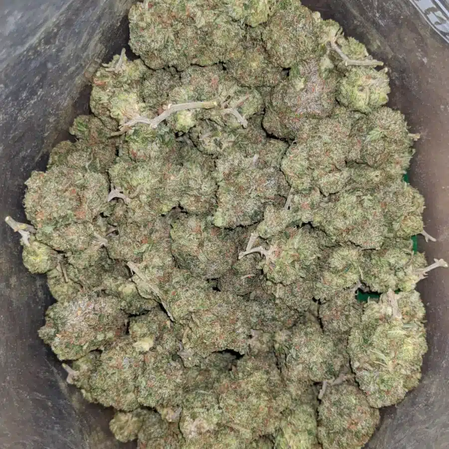 Green Farm Death Bubba 4 1 I Greenfarm's Death Bubba