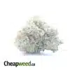 LA Kush Breath