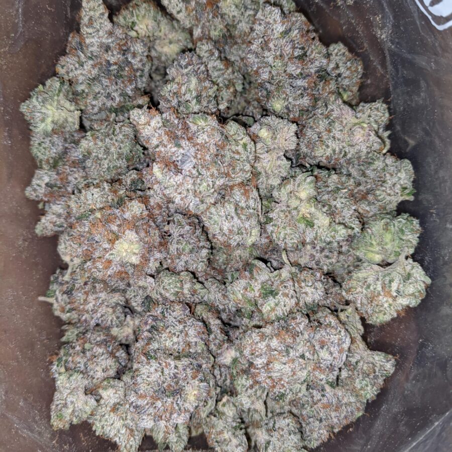 Rockstar kush 1 I Rockstar Kush
