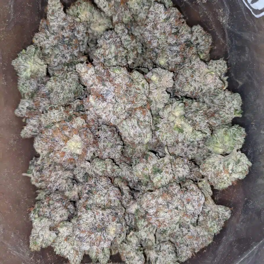 Rockstar kush 1 I Rockstar Kush