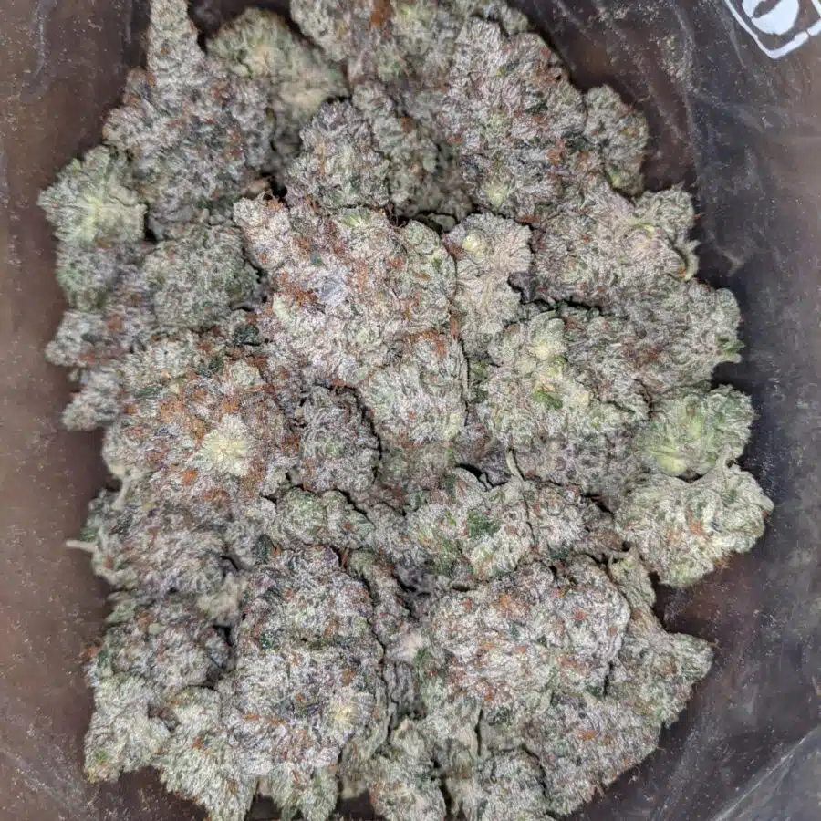 Rockstar kush 2 I Rockstar Kush