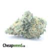$ 46 Oz - Super Pink