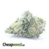 $ 46 Oz - Super Pink