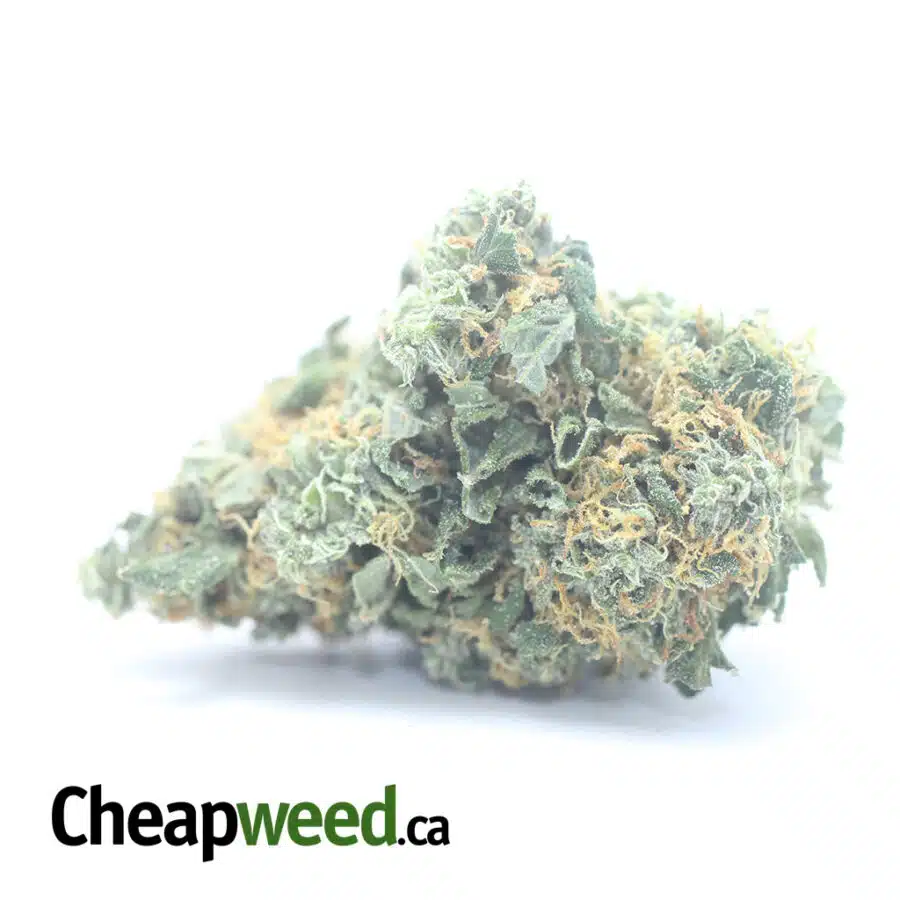 $ 46 Oz - Super Pink