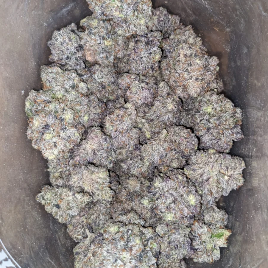 Skywalker