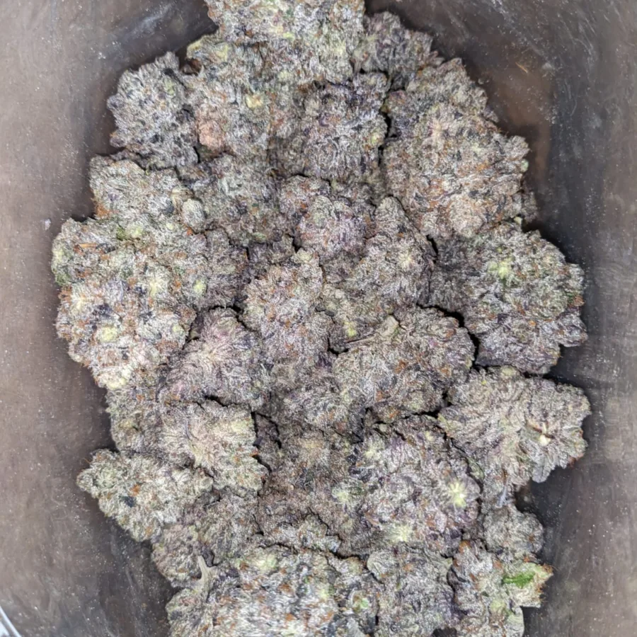 Skywalker - Image 5