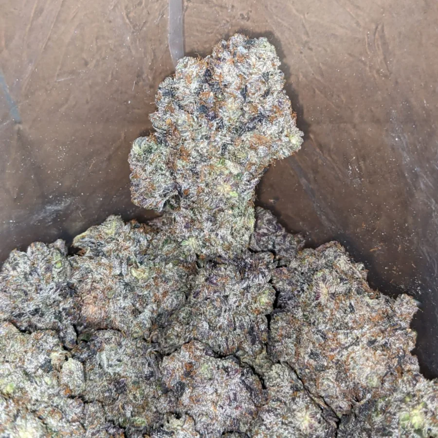Skywalker - Image 4