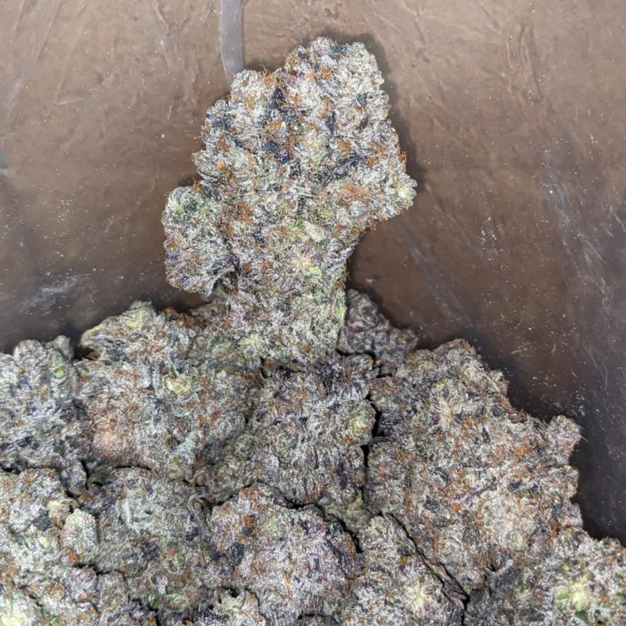 Skywalker - Image 3