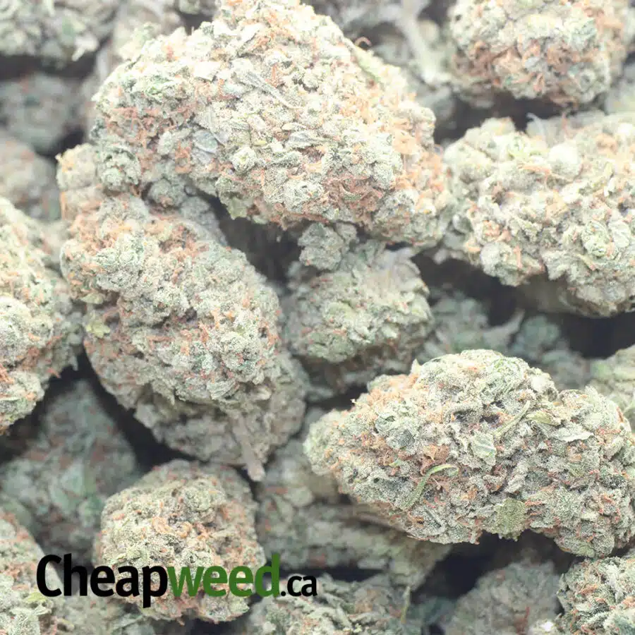 TONYS PINEAPPLE EXPRESS 1 I Tony's Pineapple Express