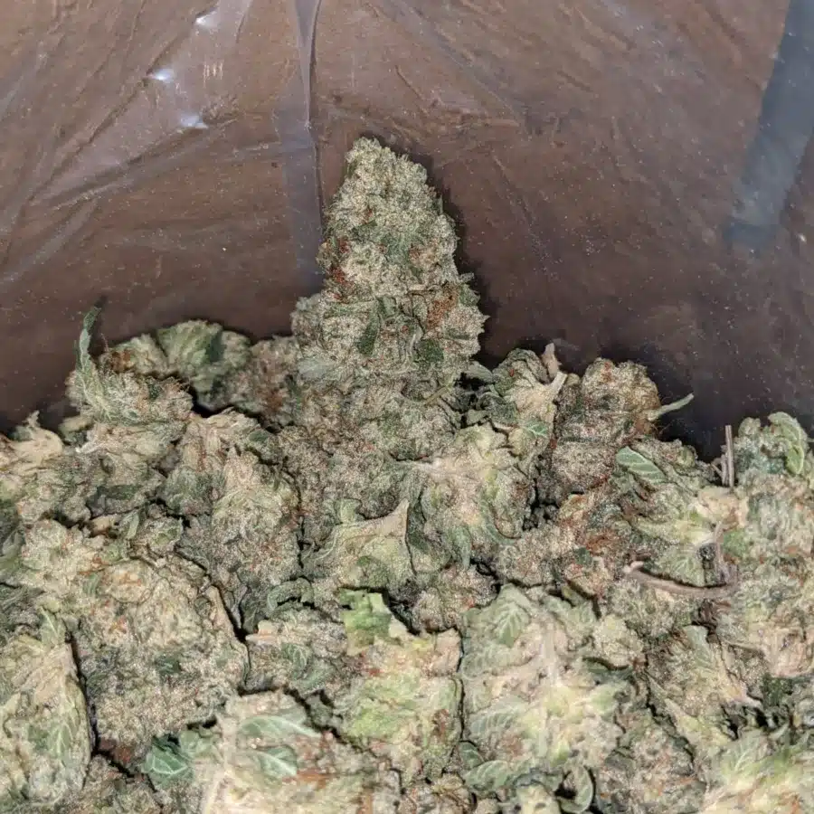 Alternative view of $32oz Guava Cake