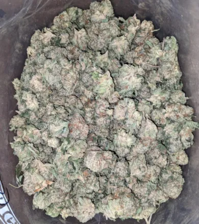 $ 32 Oz - Guava Cake (3) 32 Oz Guava Cake 3 I Legacy