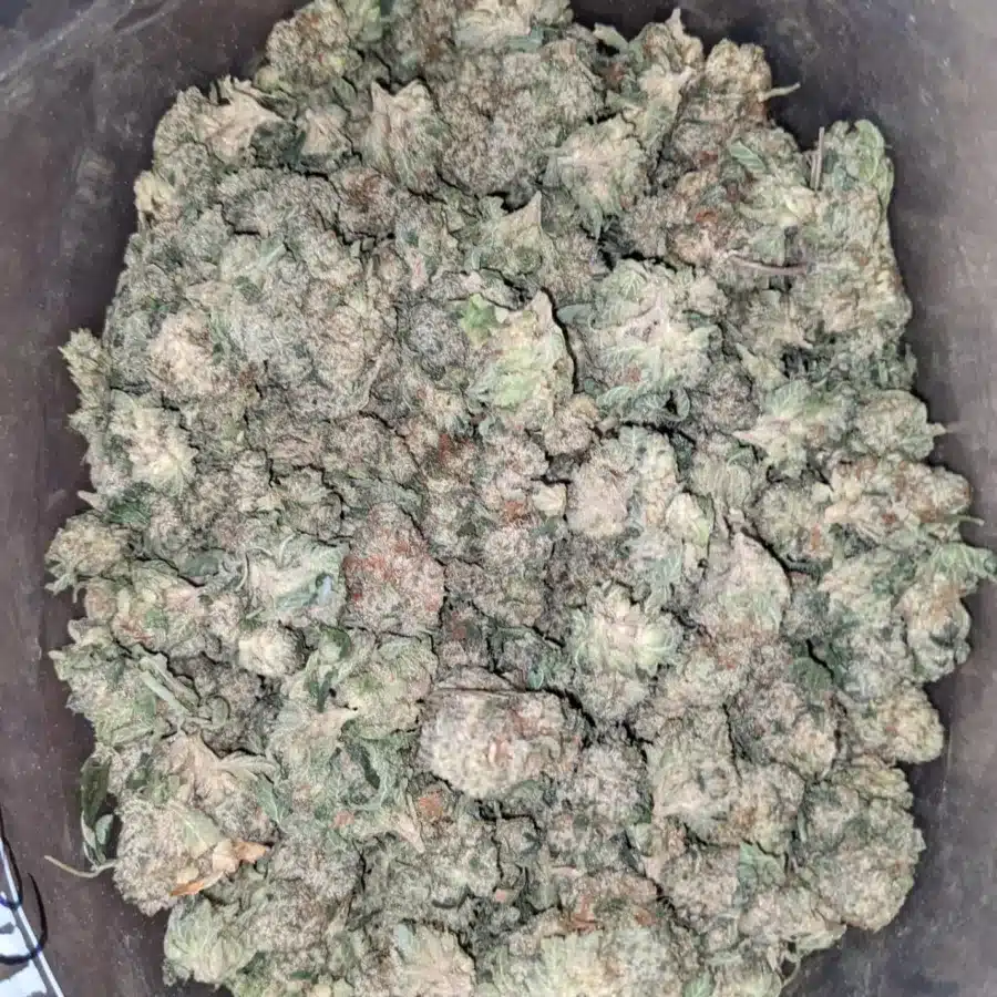 $32oz Guava Cake