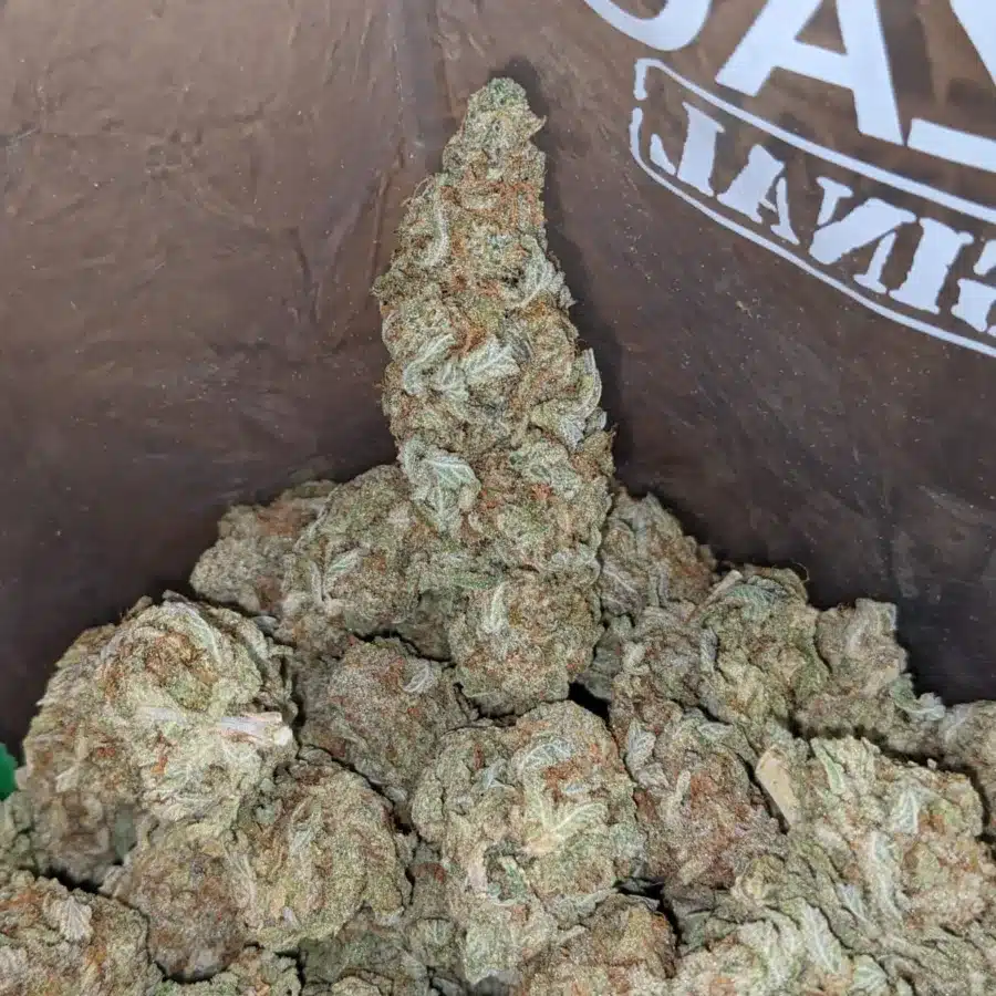 46 Oz Lemon Diesel 1 I $46oz Lemon Diesel