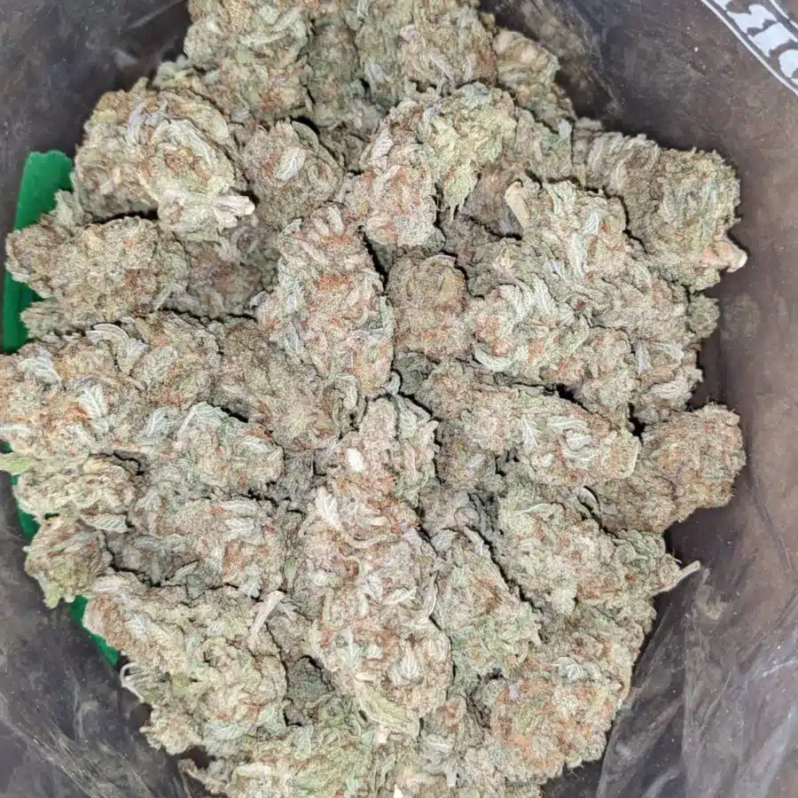 46 Oz Lemon Diesel 2 I $46oz Lemon Diesel