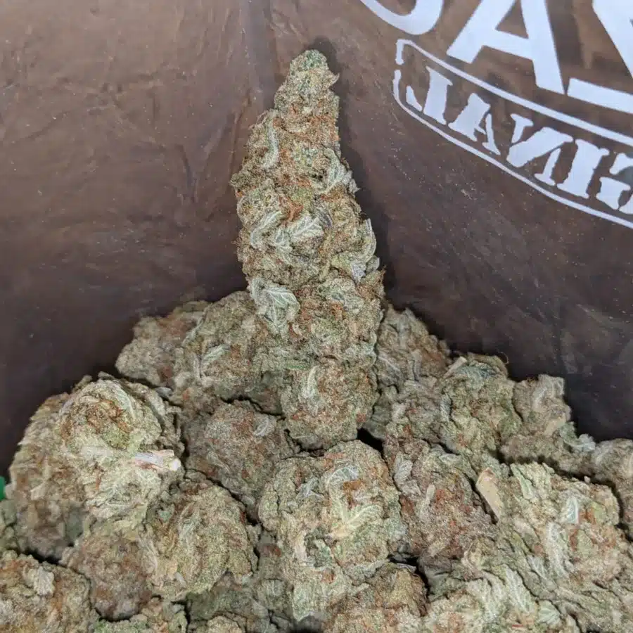 46 Oz Lemon Diesel 3 I $46oz Lemon Diesel