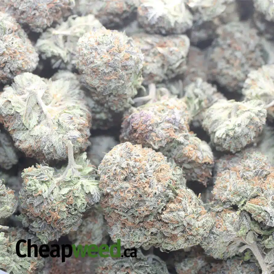 BLACKBERRY 1 I $ 54 Oz - Blackberry