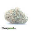 $ 54 Oz - Blackberry