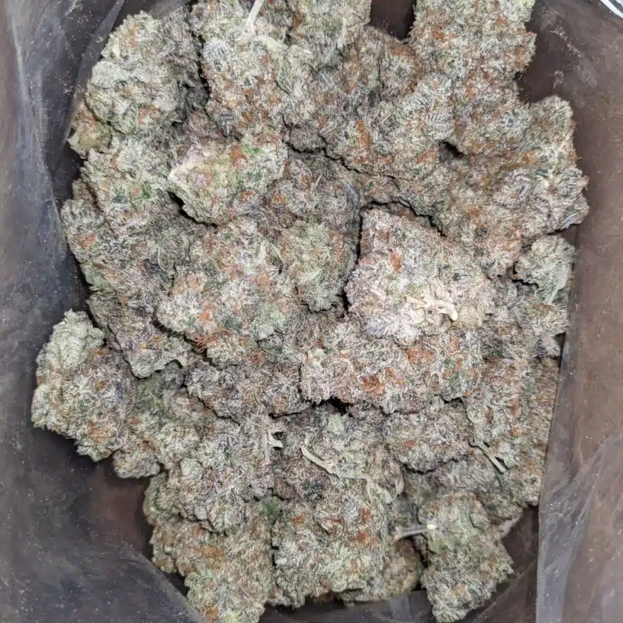 Blue Cookies