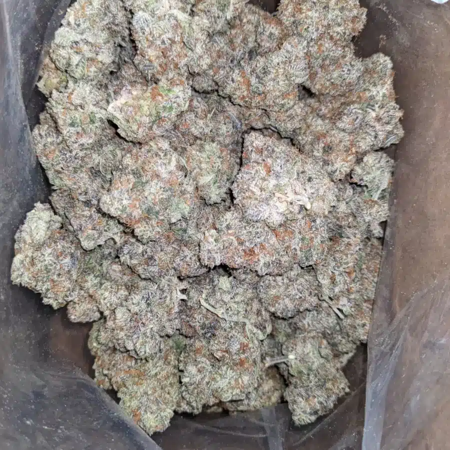 Blue Cookies 2 I Blue Cookies