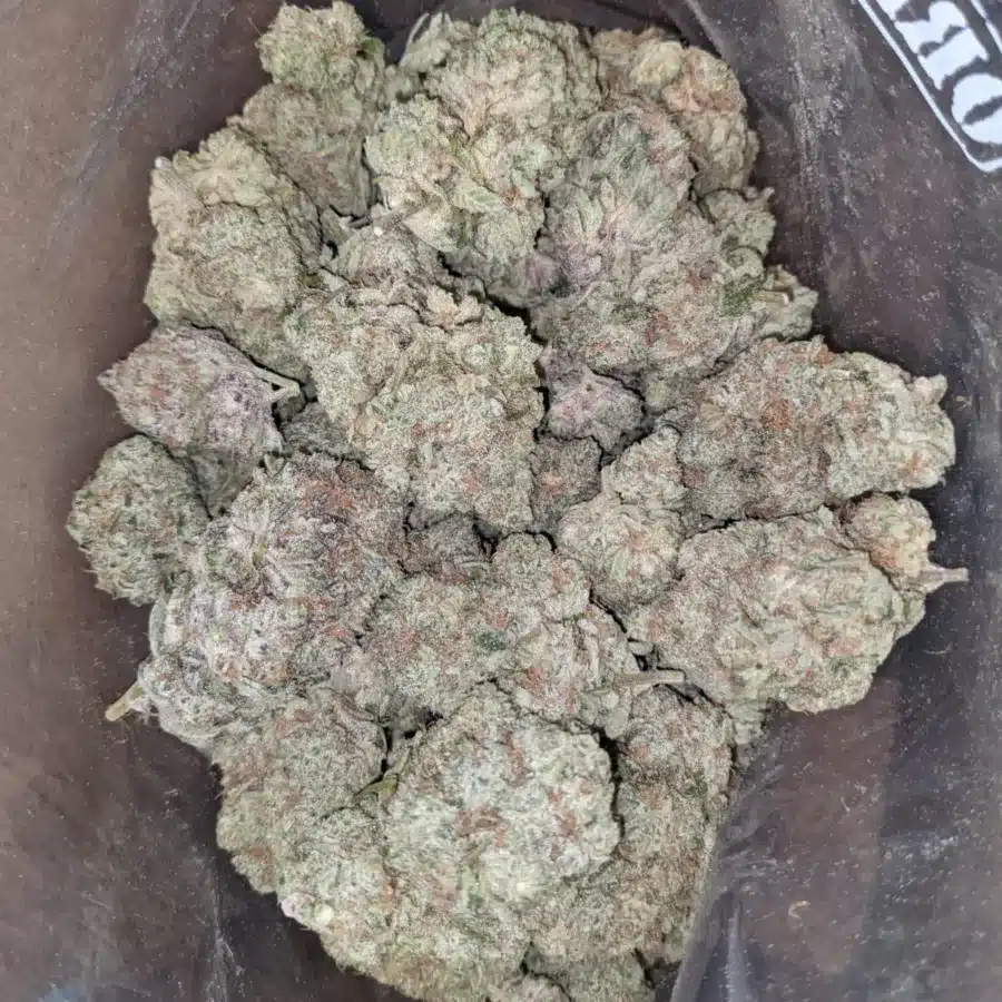 Clementine 3 I Clementine