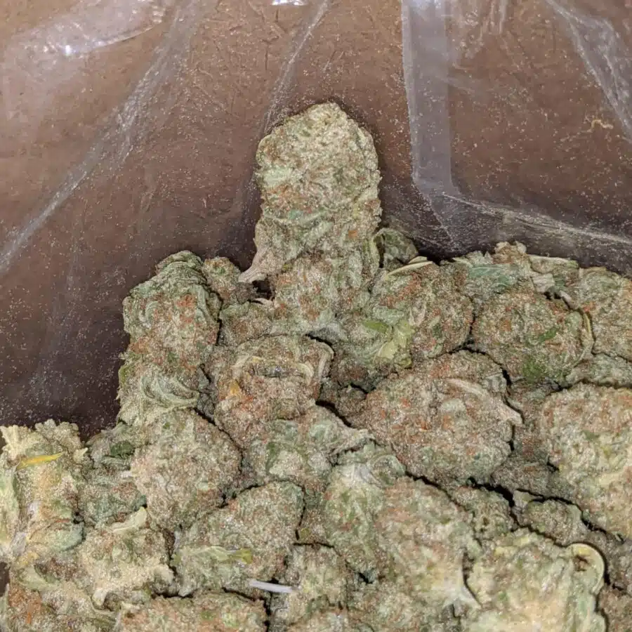 Cookies Kush 2 I Cookies Kush