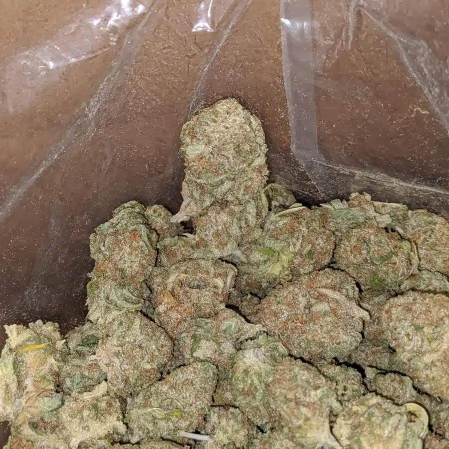 Cookies Kush 3 I Cookies Kush